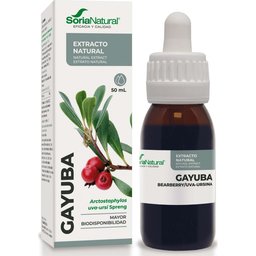 Extracto Gayuba Xxi 50 Ml *