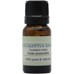 Huile Essentielle d'Eucalyptus Radié 10ml
