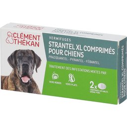 Clement Thekan Vermifuges Vers Plats Et Ronds Chien XL 2 Comprimés
