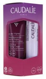 Thé Des Vignes Crème Mains & Ongles 30 ml + Soin Des Lèvres 4,5 g - Coffret 2 produits