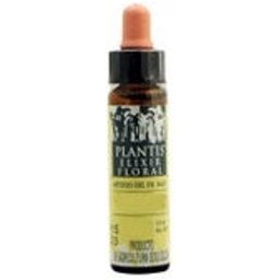 10 Pommier Silv 10ml