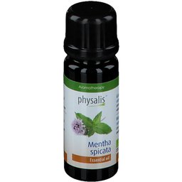 Physalis® Menthe Verte
