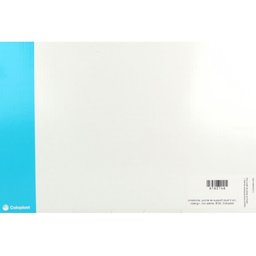 Sensura MIO Click URO Poche Maxi - Poche vidangeable, système 2 pièces, prédécoupée, texti