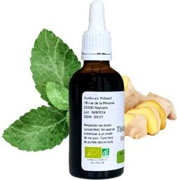 Tisane instantanée Menthe Gingembre - Mentha gracilis - Flacon de 50ml
