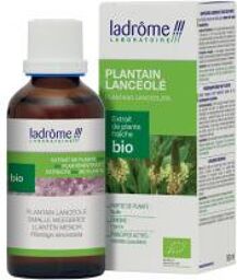 Xtrait de Plantes Fraîches Bio Plantain Lancéolé 50 ml - Flacon 50 ml