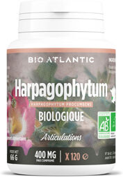 Harpagophytum Bio 400 mg - comprimés