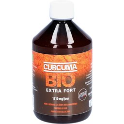 DR Theiss Curcuma Bio Fort Extrait