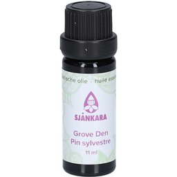 Den Sylvestre Huile Essentielle Biologique