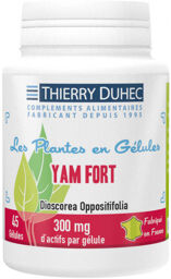 Yam Fort 16% diogénine 300 mg : Conditionnement - 45 gélules