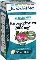 Promesses Santé Harpagophytum 2000 mg 30 Comprimés - Pot 30 comprimés
