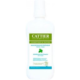 Bain De Bouche Fraicheur Ment 500Ml