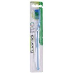 Cepillo Dental Data Script Sua