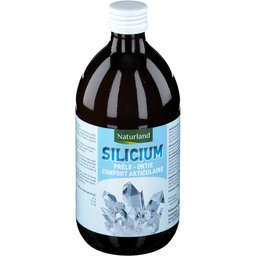 Silicium