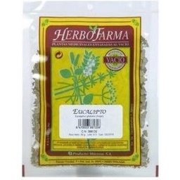Prêle des champs 30g