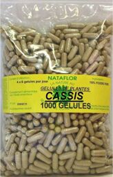GELULES CASSIS feuille 250 mg 1000 GELULES
