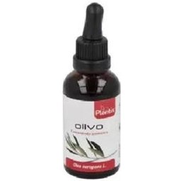 Extrait d'olive 50ml