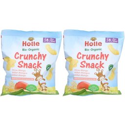 Kids Crunchy Snack Millet-Mangue bio