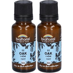 Oak - Chêne - Bio