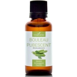 Bouleau Pubescent Macérat De Bourgeons 30ml