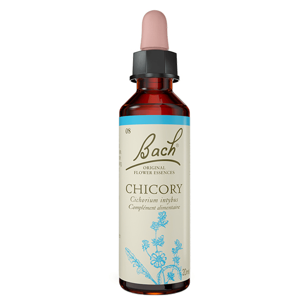 Original - Chicory 20ml