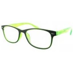 Protec Vision Salamandre Vert 1pc