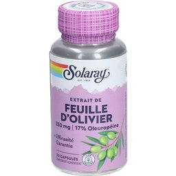 Extrait de Feuille d'Olivier 250 mg