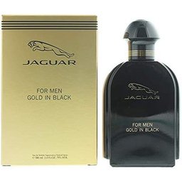 Gold In Black Eau de Toilette Hommes 100ml