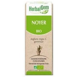 Macérat Concentré de Noyer Bio 30ml