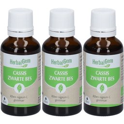 - Cassis Bio - Complément Alimentaire  - Extrait De Bourgeon Frais - Pour Articulations