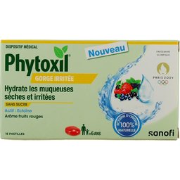 Gorge Irritée Fruits Rouges 16 Pastilles