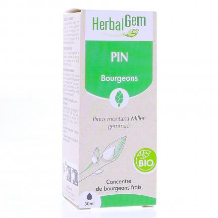 Concentré de bourgeons frais - Pin bio 30ml
