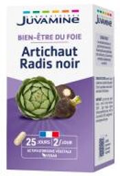 Artichaut Radis Noir 50 Unités - Pot 50 gélules