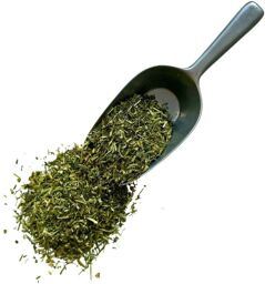 Tisane Pensée sauvage plante Viola tricolor.
