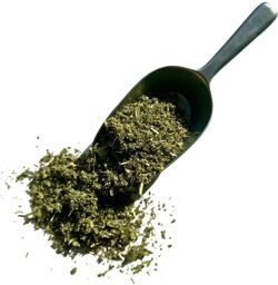 Tisane Guimauve feuille CT Althaea officinalis