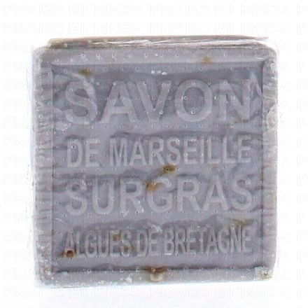 Savon Marseille Algues de bretagne 100g