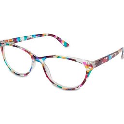 Lunettes de protection Urbion 2.5 1pc