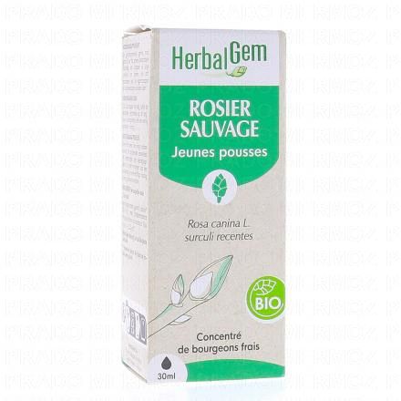 Concentré de bourgeons frais - Rosier sauvage jeunes pousses bio 30ml