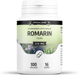 Romarin 220 mg - gélules