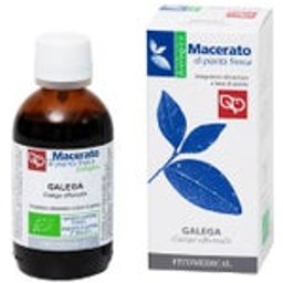 Abedul Tintura Madre Bio 50ml