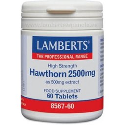 Hawthorn 2500mg 60 Comprimés