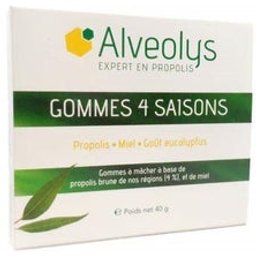 Gom 4 Sais Eucalypt 40G