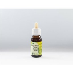 Gingko Biloba Extrait 50ml