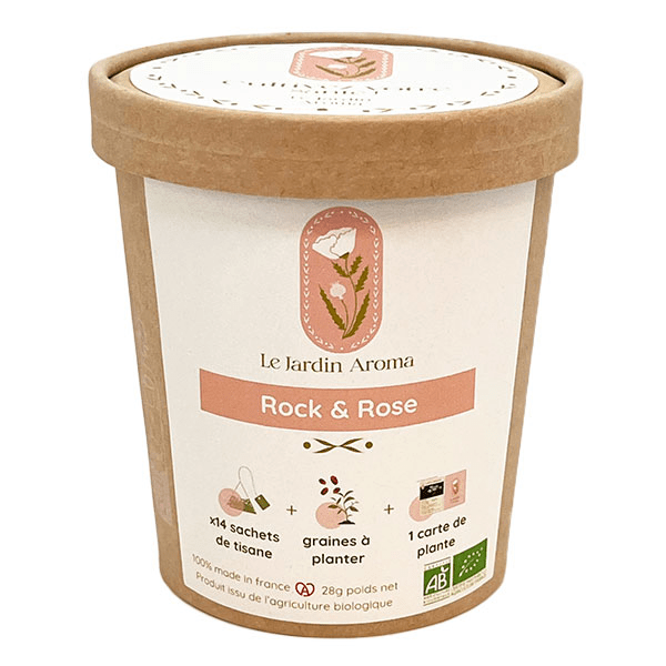 Infusettes Rock & rose en pot x12