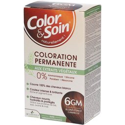 Color & Soin Coloration 6GM Blond Foncé Cannelle