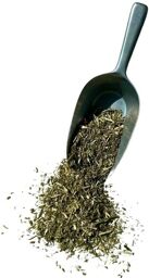 Tisane Cataire plante 1 KILO Nepeta cataria.
