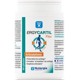 Ergycartil Flex 90 Gélules