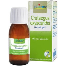 Crataegus Oxycantha 60ml