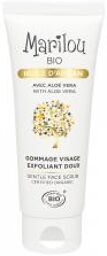 Gommage Visage à l'Huile d'Argan 75 ml - Tube 75 ml