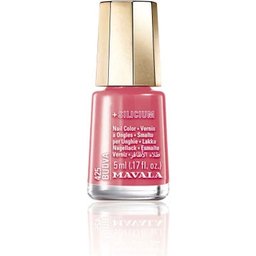 Vernis à Ongles Budva N°425 5ml
