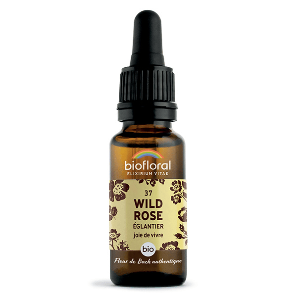 Fleur De Bach 37 Wild Rose Eglantier Bio Demeter 20 ml